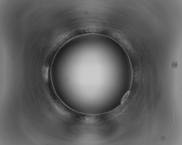 X0000096150070200801181212