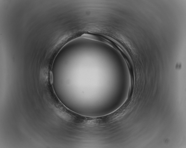X0000096150072200801181212
