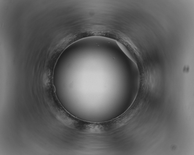 X0000096150073200801181212