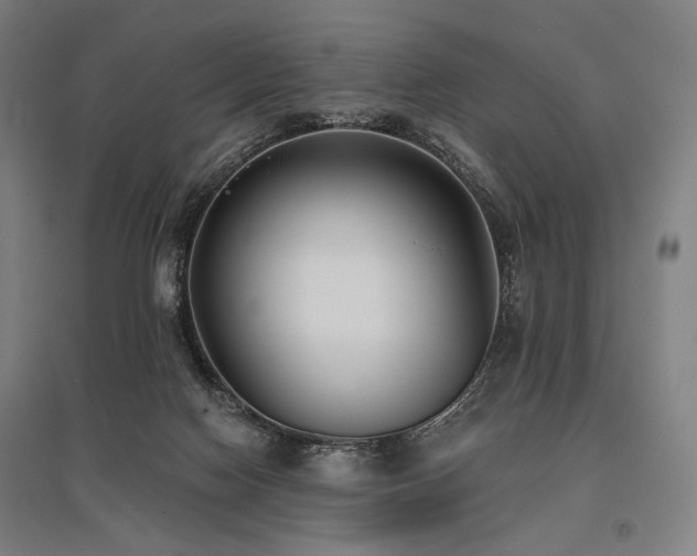 X0000096150074200801181212
