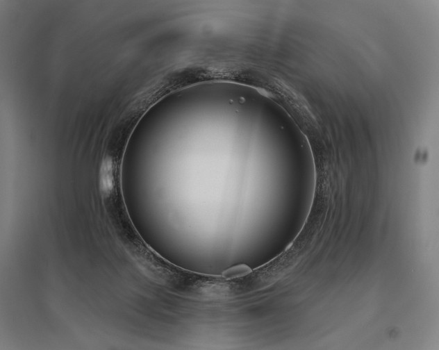 X0000096150075200801181212