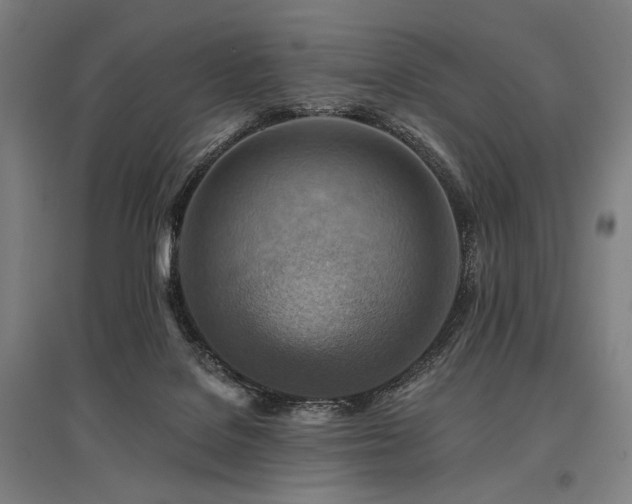 X0000096150076200801181212
