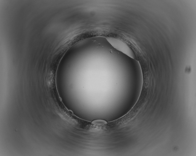 X0000096150077200801181212