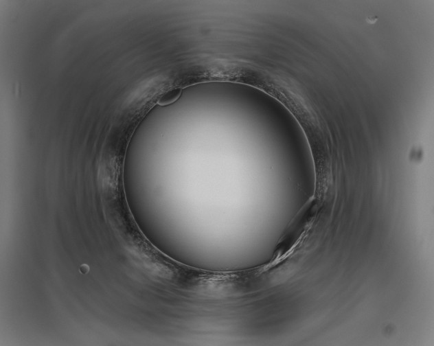 X0000096150078200801181212