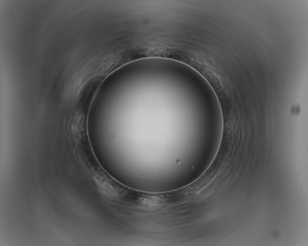 X0000096150079200801181212