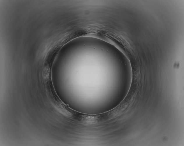 X0000096150081200801181212