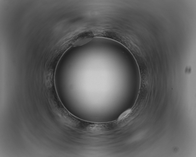 X0000096150082200801181212