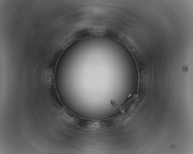 X0000096150083200801181212