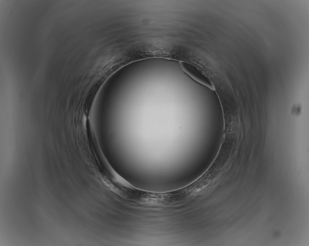 X0000096150084200801181212