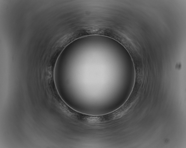 X0000096150085200801181212