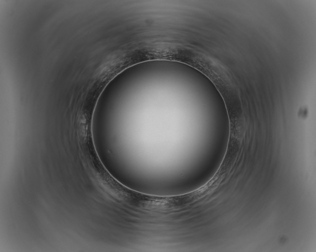 X0000096150086200801181212