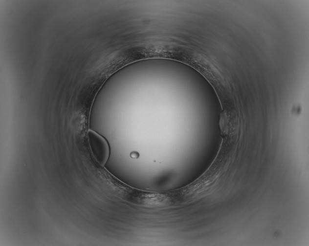 X0000096150087200801181212