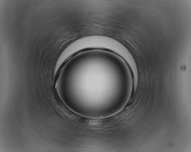 X0000096150088200801181212