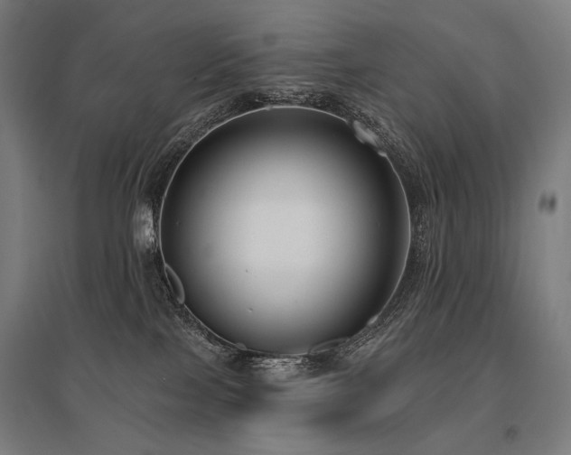 X0000096150089200801181212
