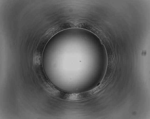 X0000096150090200801181212