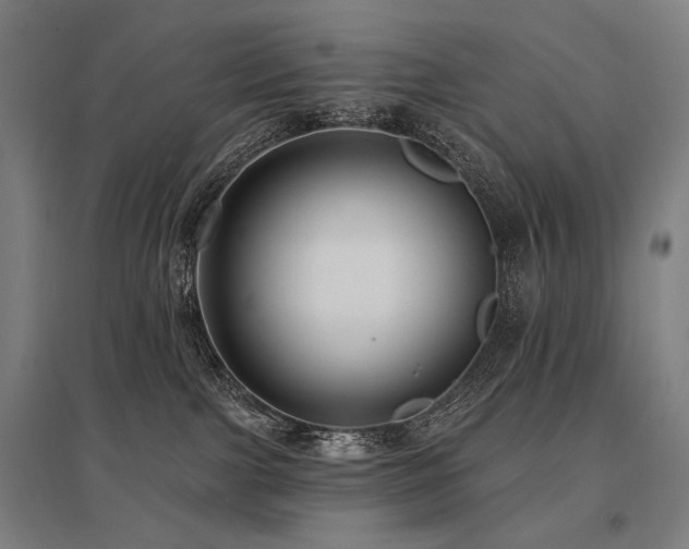 X0000096150091200801181212