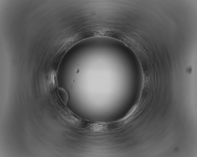 X0000096150094200801181212
