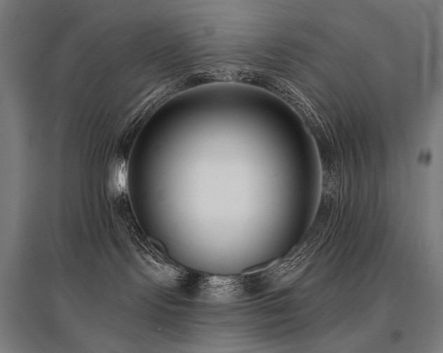 X0000096150095200801181212