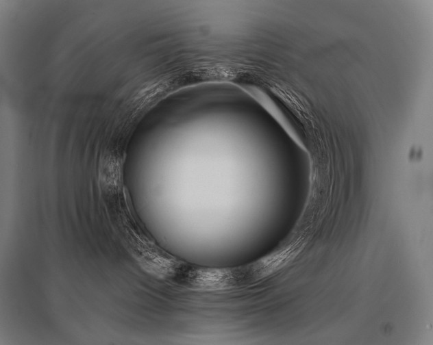 X0000096150096200801181212