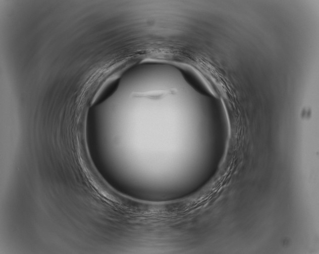 X0000096150097200801181211