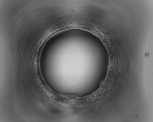 X0000096150098200801181211