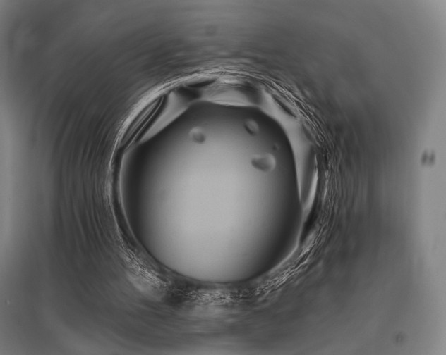 X0000096150100200801181211