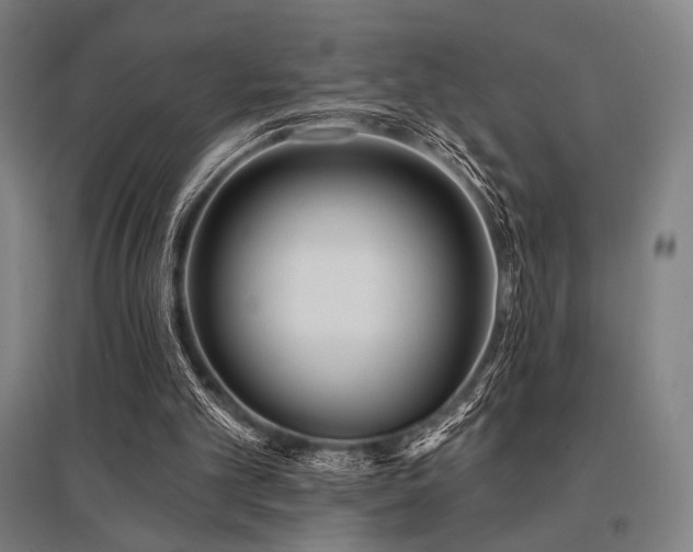 X0000096150101200801181211