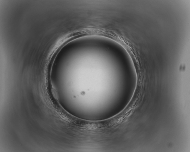 X0000096150103200801181211