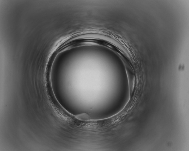 X0000096150104200801181211