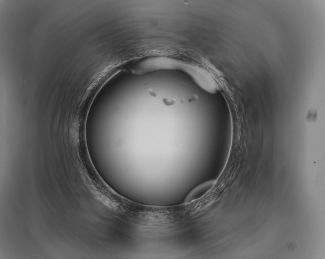 X0000096150106200801181211