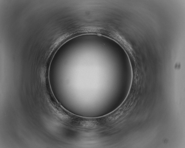 X0000096150107200801181211