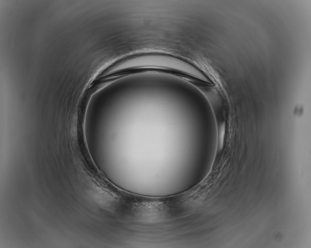 X0000096150108200801181211