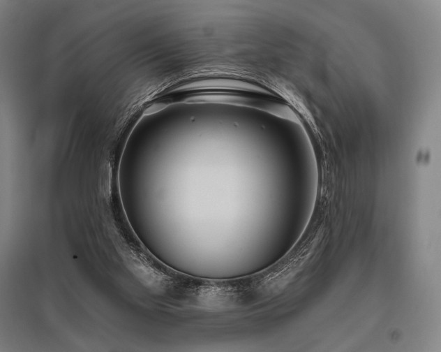 X0000096150109200801181211
