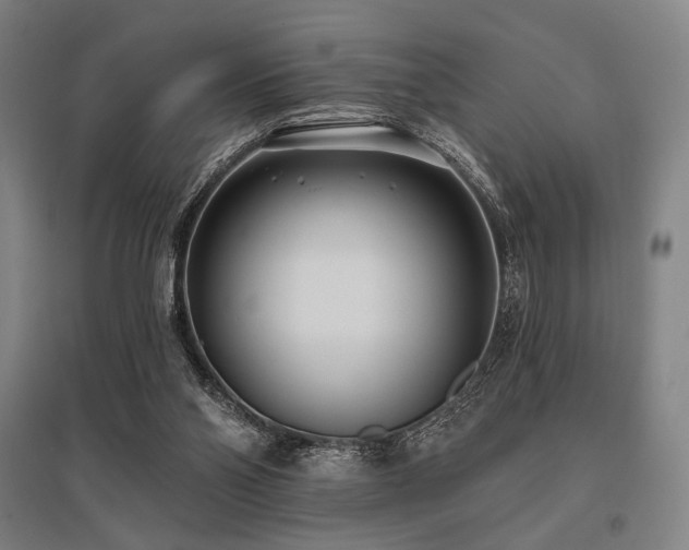 X0000096150110200801181211
