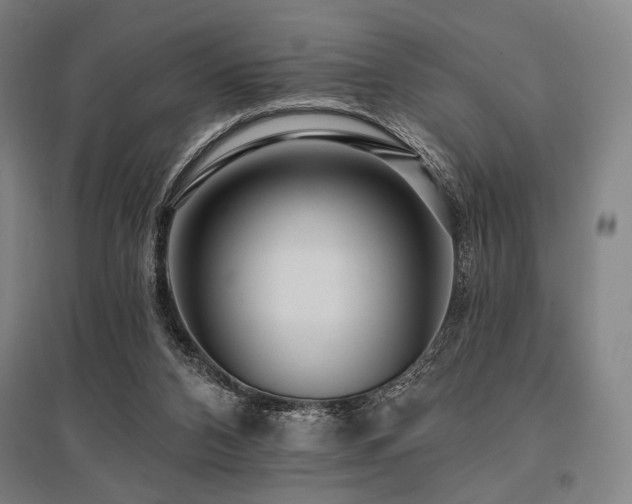 X0000096150112200801181211