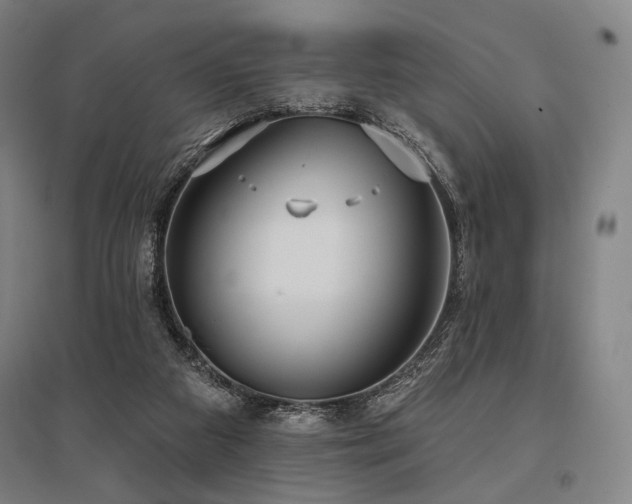 X0000096150113200801181211
