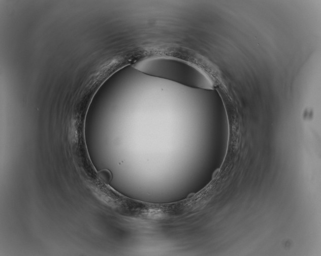 X0000096150114200801181211