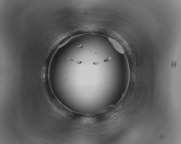 X0000096150115200801181211