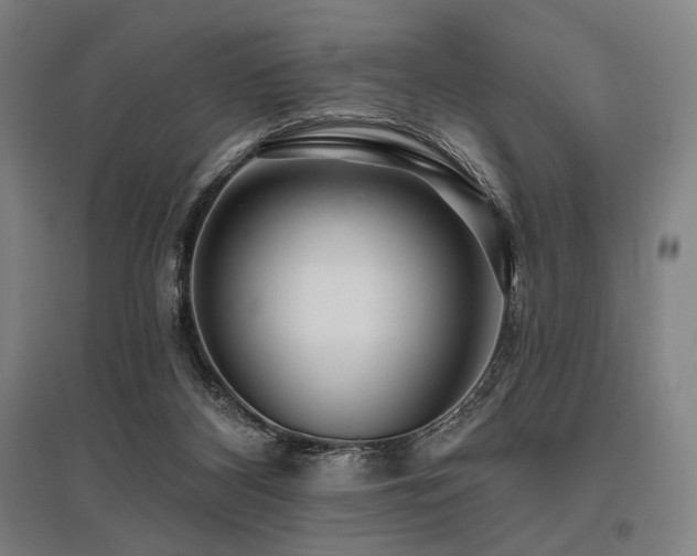 X0000096150116200801181211