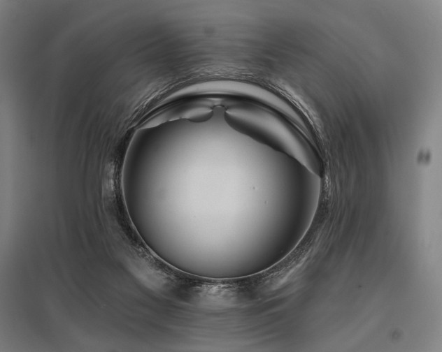 X0000096150117200801181211
