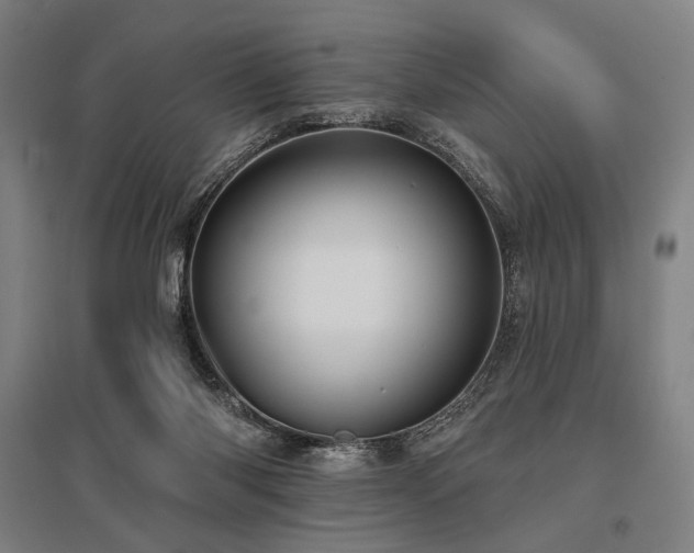 X0000096150118200801181211