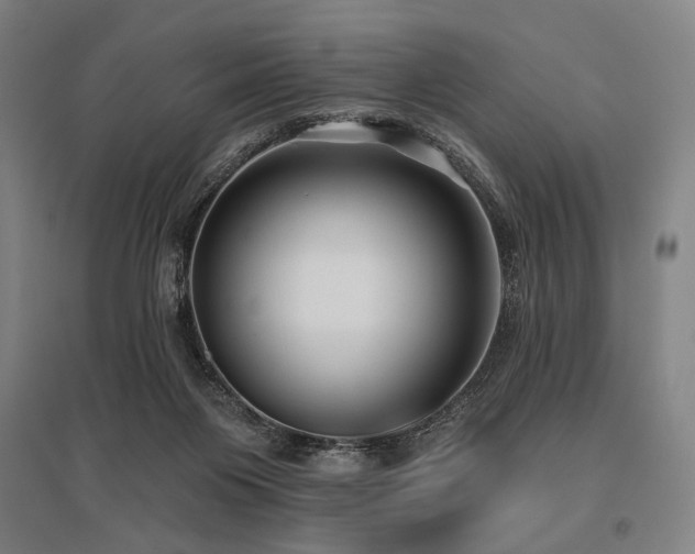 X0000096150119200801181211