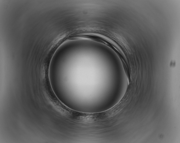 X0000096150120200801181211