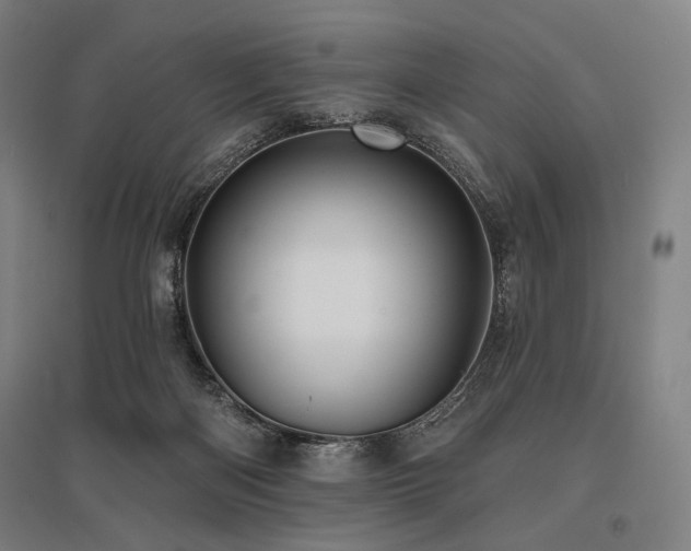 X0000096150122200801181211