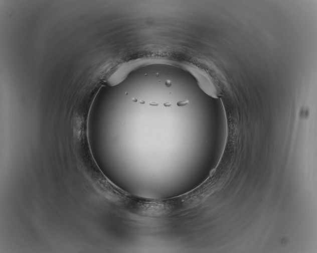 X0000096150123200801181211
