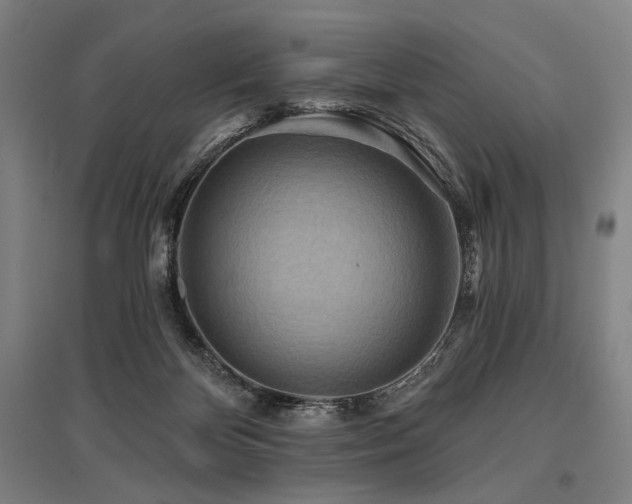 X0000096150124200801181211