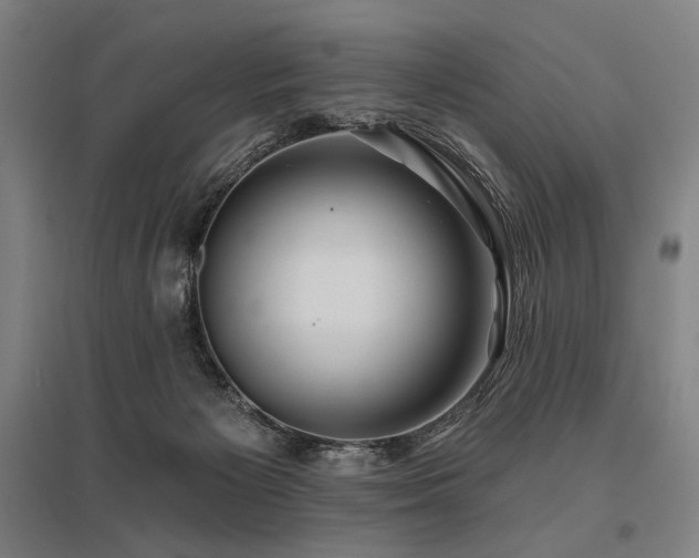 X0000096150125200801181211