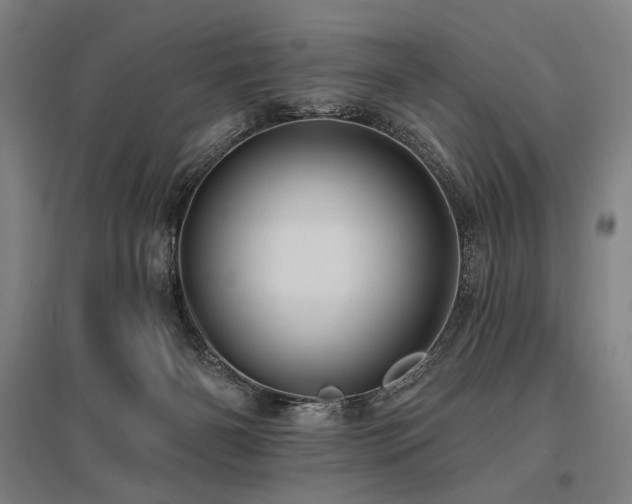 X0000096150126200801181211