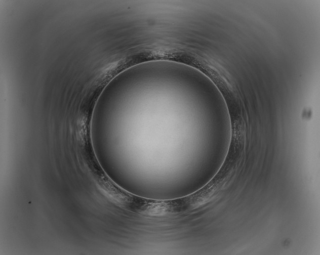 X0000096150127200801181211
