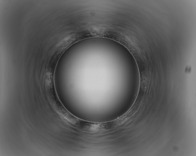 X0000096150130200801181211